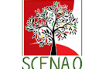 MIGLIOR%2BSPETTACOLO%2B%25281%2529.png MIGLIOR%2BSPETTACOLO%2B%25281%2529.png