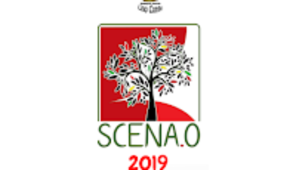 2019%2Bscena.0.png