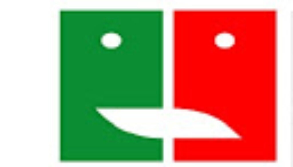 LOGO%2BFITA%2Bgruppo.jpg