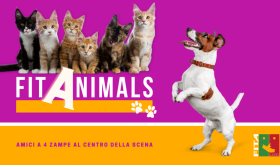 FITAnimals2 (2)