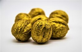 noci-d-oro-su-fondo-bianco-165591528
